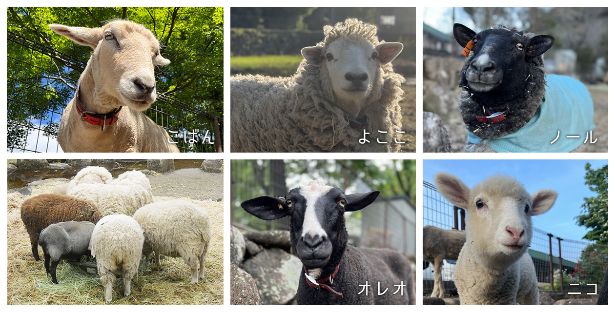 やぎたち